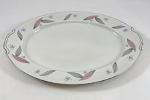 Load image into Gallery viewer, Feather-Pattern China Dinner Set
