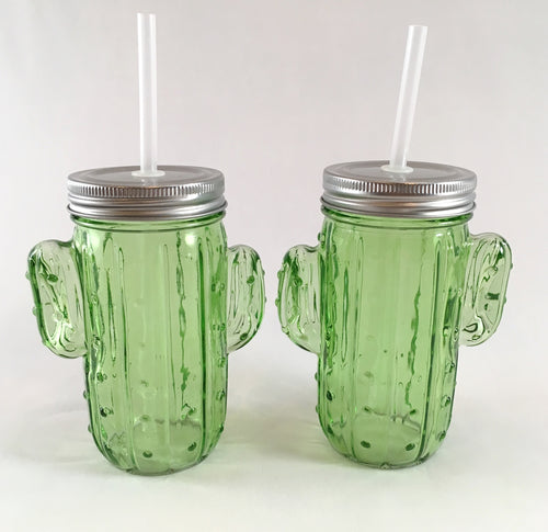 Cactus Glasses with Lid and Straw