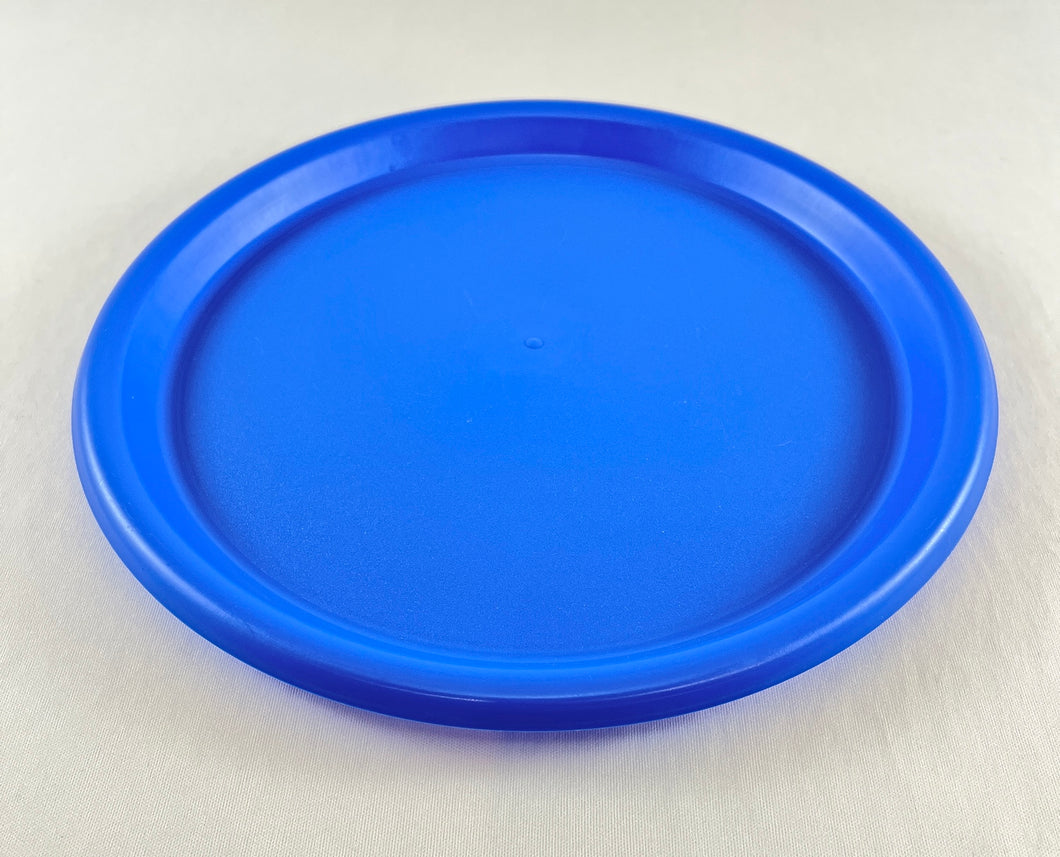 Blue Plastic Plate