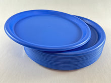 Load image into Gallery viewer, Blue Plastic Plate
