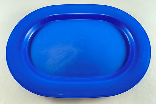 Blue Plastic Serving Platter