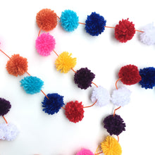 Load image into Gallery viewer, Fiesta Pompoms Garland
